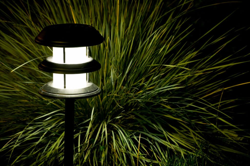 Solar powered outdoor lighting illuminates a grass plant, highlighting its natural beauty in the garden.